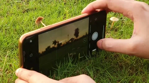 Capturing the sunset footage Stock Footage 145931791