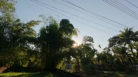 Capturing the tranquil beauty of a forest at dawn Stock Footage 322623370