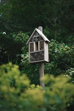 Capturing the tranquil essence of a charming rustic birdhouse Stockfoto's