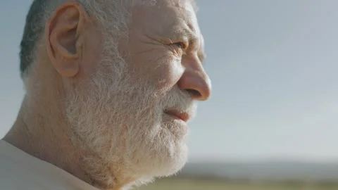Capturing Wisdom Outdoor Portrait of a Bearded Senior Stock Footage 327919708