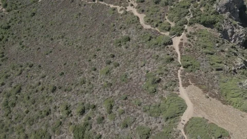 Capu Rossu Stock Footage 314285542