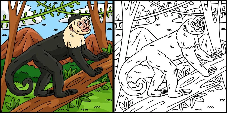 Capuchin Monkey Coloring Page Colored Illustration Stock Illustration