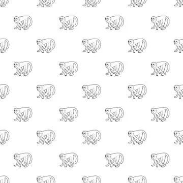 Capuchin pattern seamless Stock Illustration