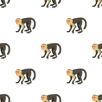 Capuchin pattern seamless vector 스톡 일러스트