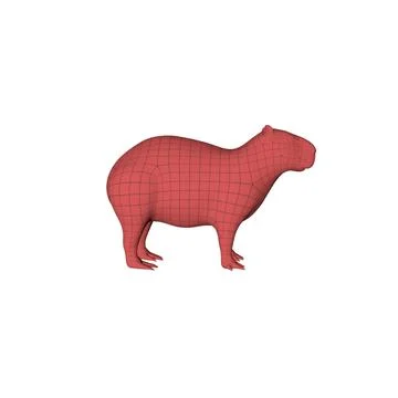 3D Capybara Models