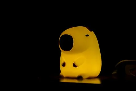 Capybara night light Stock Photos