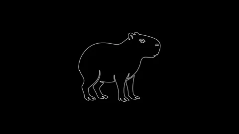 Capybara self drawing continuous line animation Vidéo 347365918