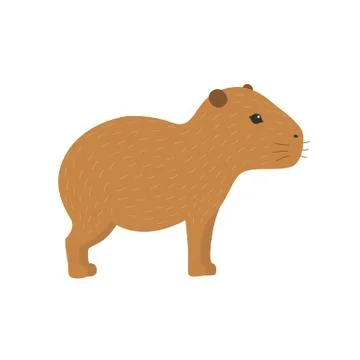 Capybara vector illustration Stock Illustration