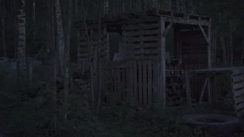 Car abandoned in the forest, tires, objects, horror, evening Stock Footage 271334002