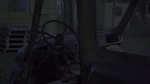 Car abandoned in the forest, tires, objects, horror, evening Stock Footage 271334339