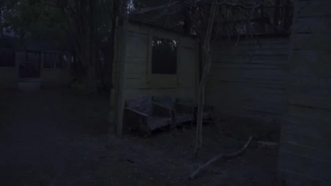 Car abandoned in the forest, tires, objects, horror, evening Stock Footage 271335121