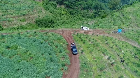 A car for adventure Video stock 114700997