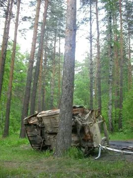 Car and Tree Stock Photos