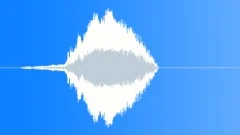 Car Approach SkidSound Effect