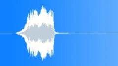 Car Approach SkidSound Effect