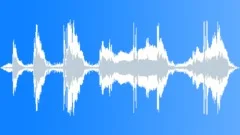 Car Austin Healey SpriteSound Effect