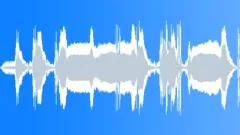 Car Austin Healey SpriteSound Effect