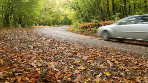 Car in autmn road Vidéo 59937704