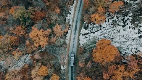 Car in the autumn forest Stock Footage 139884518
