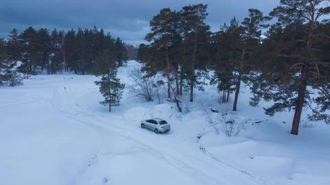 Car on the background of a snowy forest Stock Photos