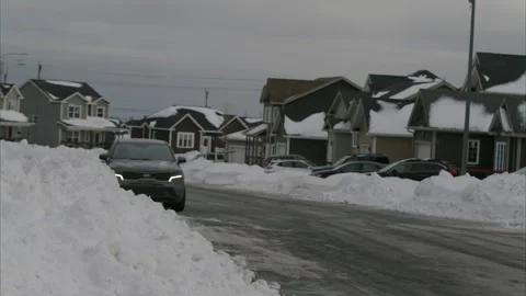Car Backing into driveway Stock Footage 263661574