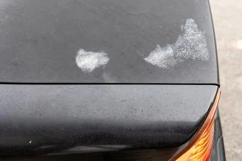 Car bonnet with patch of corroded paint due to exposure to intense weather and Stock Photos