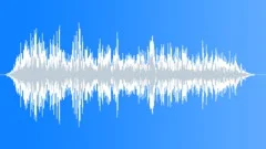 Car Brake Squeal Short 2 Sound Effect