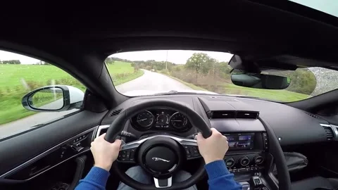 Car brakes fast to avoid collision with cow 스톡 동영상 171820808