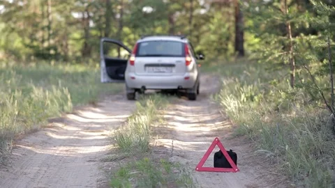 The car broke down, its emergency lights are on Vídeo Stock 158044356