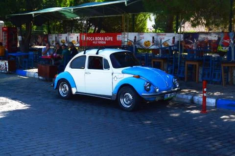 Car bug 스톡 사진