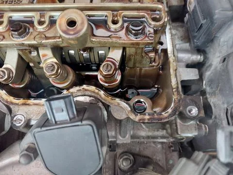 Car bumper, engine, and filter service with component exposure Fotos de archivo