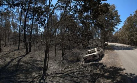 Car burnt down by a forest fire near the road - Pedrogao Grande Stock-Fotos