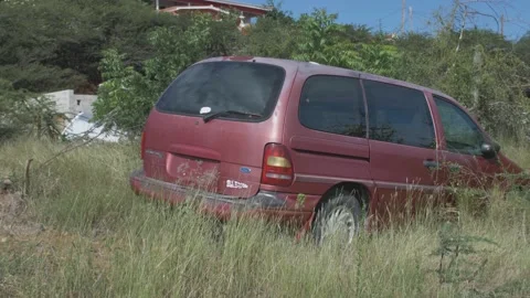 Car In Bushes 動画素材 150844671