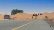 Car Camel Speed Pass Heat Haze Stock Footage