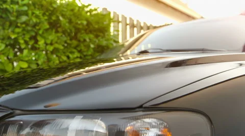 Car Care Vídeos de archivo 54689089