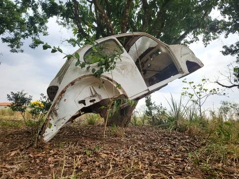 Car chassis hanging from a tree. Stock Photos