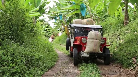 Car Coffee jeep Stock Footage 76882022