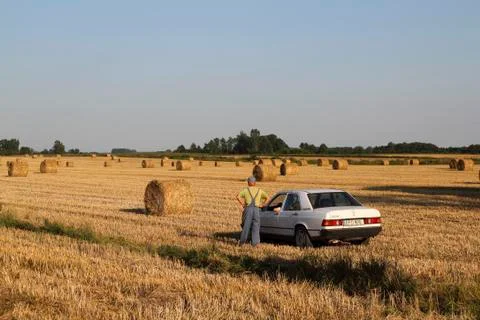 Car on corn field Stock Photos