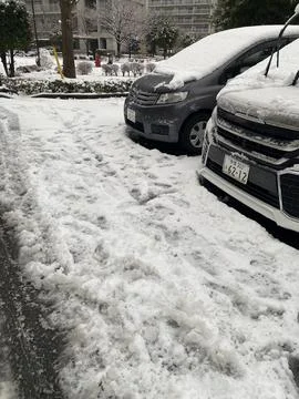 Car covered by snow Stock Photos
