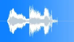 Car Crash Skid CrashSound Effect