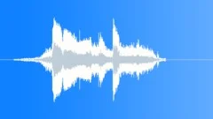 Car Crash Skid Crash Sound Effect