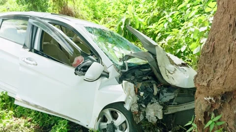 Car Crash into Tree Roadside Stock Footage 295925473