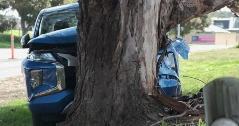 Car crashed into tree. Stock Footage 155289580