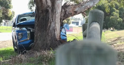 Car crashed into tree. Stock Footage 155289635