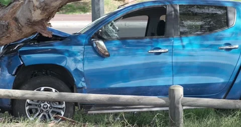 Car crashed into tree. Stock Footage 155289711