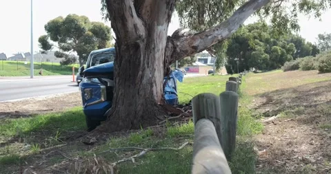 Car crashed into tree. Stock Footage 155289858