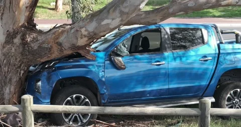 Car crashed into tree. Stock Footage 155290160