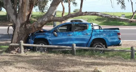 Car crashed into tree. Stock Footage 155290281