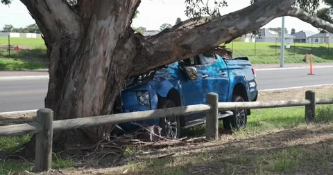Car crashed into tree. Stock Footage 155290334
