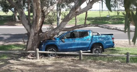 Car crashed into tree. Stock Footage 155290587